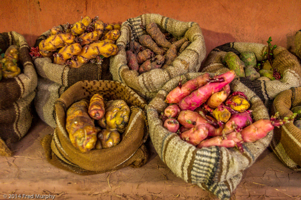 A few of Peru's 5,000  potato varieties