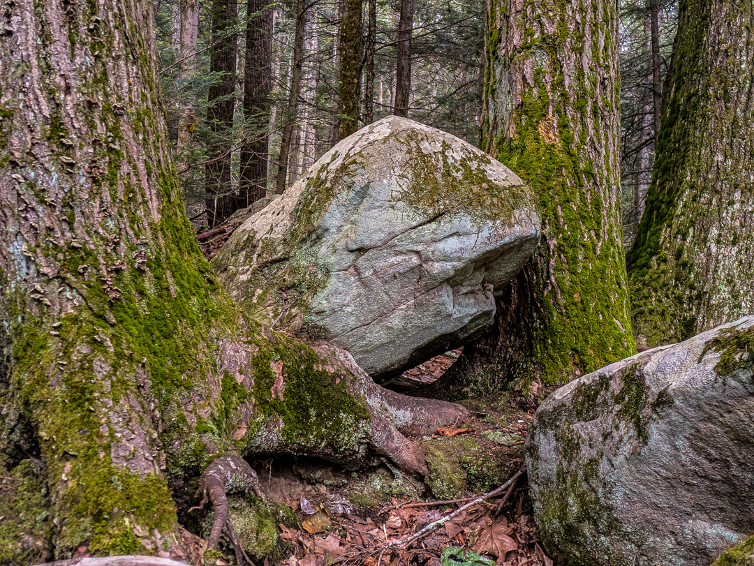Neversink Gorge Trails