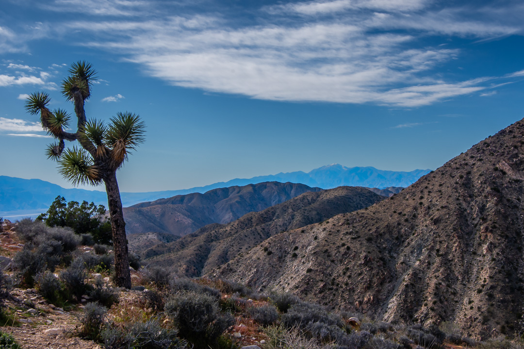 Joshua Tree National Park