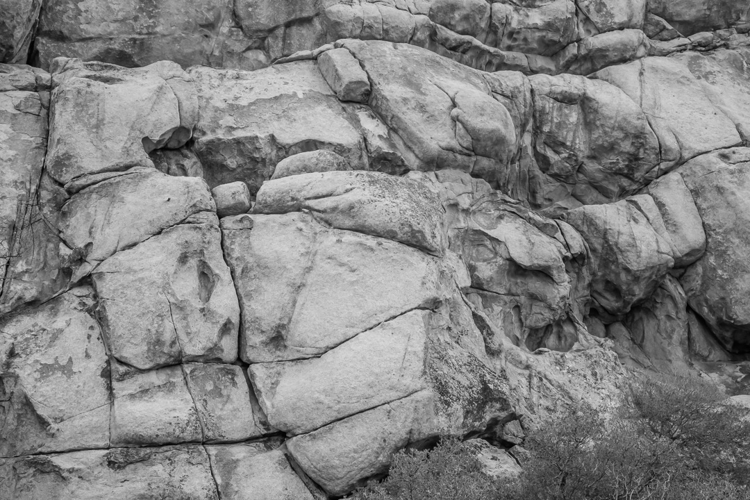Joshua Tree National Park