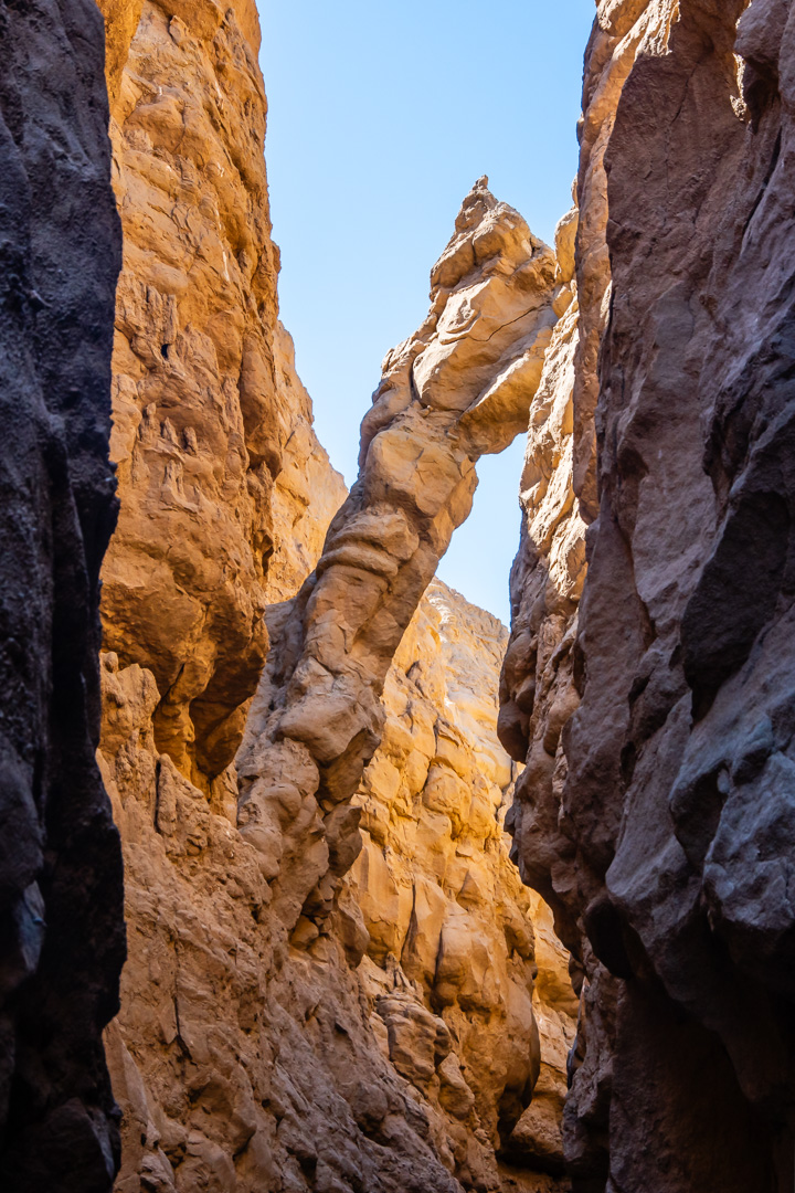 Anza Borrego State Park