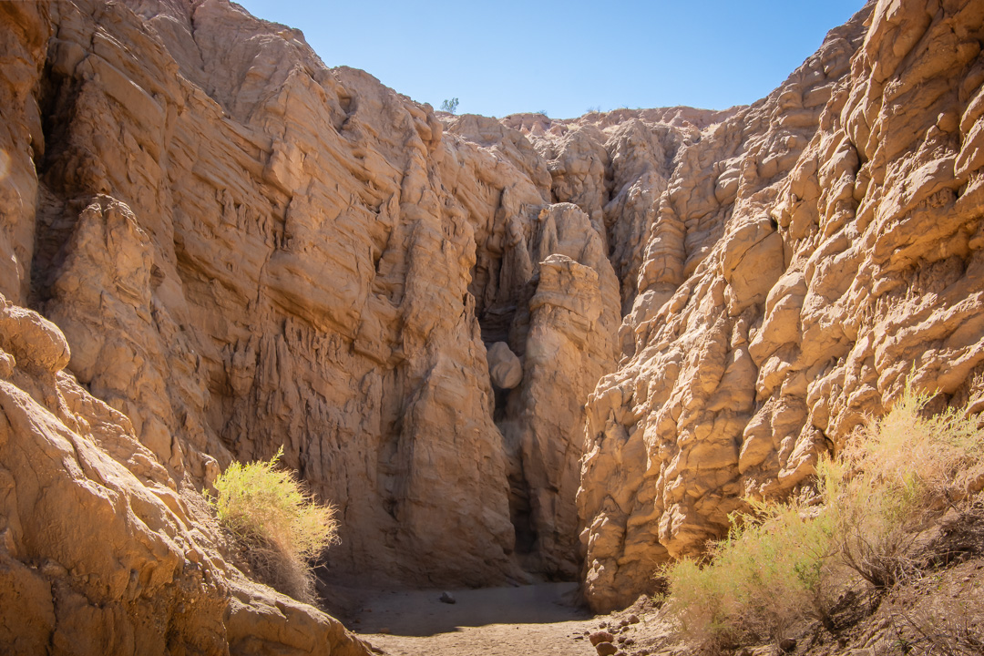 Anza Borrego State Park