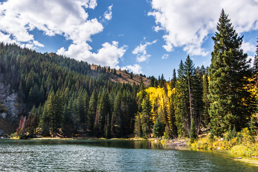 Bloods Lake