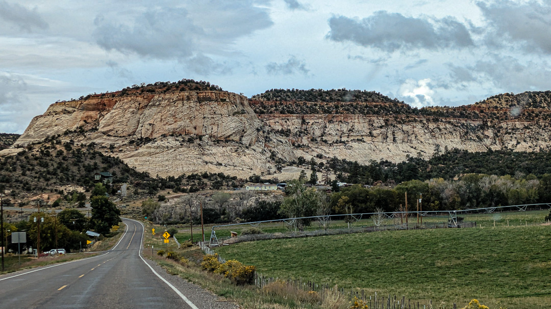<div></div>